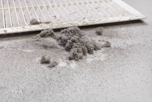 Best Affordable HVAC Duct Cleaning  in Seadrift, TX