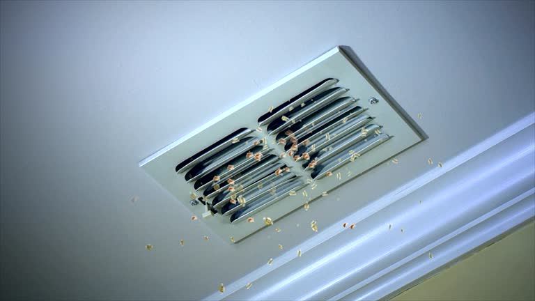 Best HVAC Maintenance and Cleaning  in Seadrift, TX